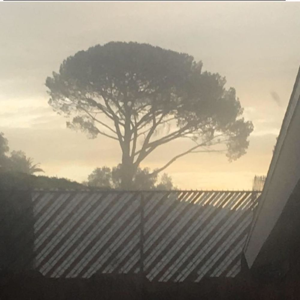 Meet your Posher, Lupe